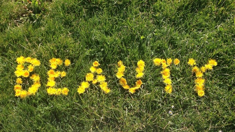 The word 'BEAUTY" spelled out in lines of yellow flower heads arranged on a grassy surface. 