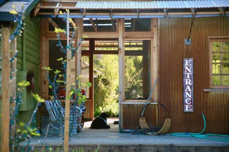 View looking through the front door, past a dog lying on the floor, and out the back door of an old wood0-sided building